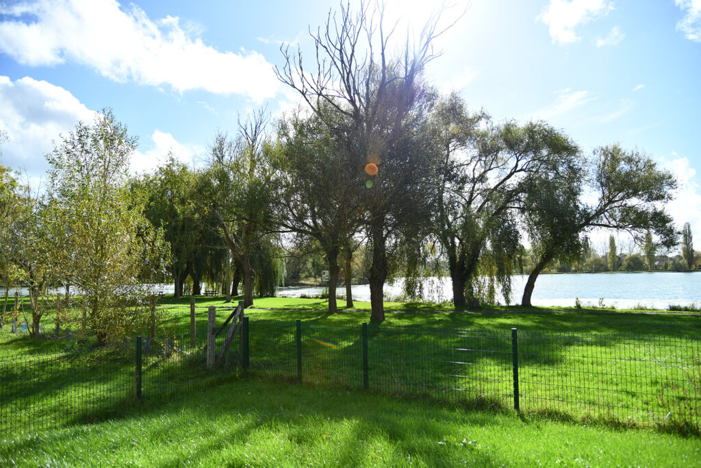 lac verdure